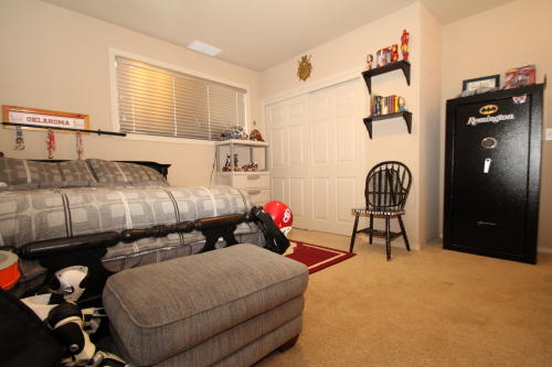 Lower level fireplace